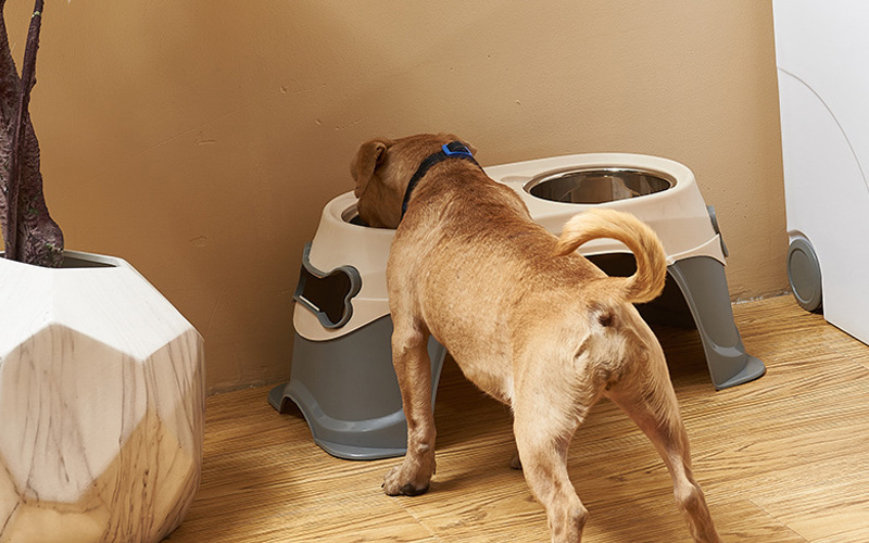 Elevated Double Dog Bowl with Stainless Steel Dishes - Non-Slip, Eco-Friendly Feeding Solution