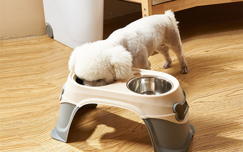 Elevated Double Dog Bowl with Stainless Steel Dishes - Non-Slip, Eco-Friendly Feeding Solution