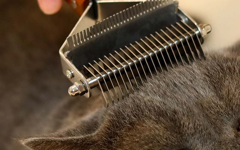 Deluxe Wood-Handled Pet Comb | Metal Tips | Versatile Grooming Tool