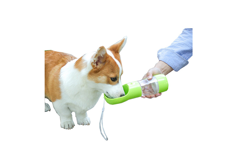 Portable Dog Water Bottle | One-Touch Dispense, Travel-Friendly, Multi-Functional Design