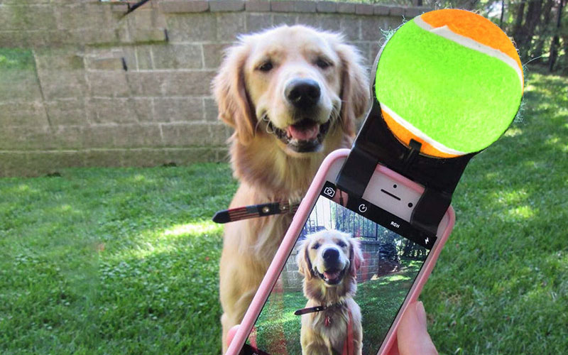 Interactive Pet Selfie Stick with Sound Tennis Ball - Capture Joyful Dog Moments