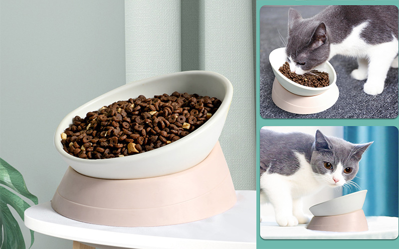 Elevated Non-Slip Pet Bowl - Practical Feeding Solution for Pet Care Suppliers