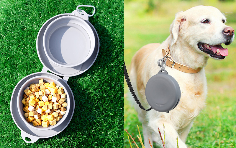 Dual Dog Bowl - Foldable & Portable for Outdoor Activities Foldable for Travel with Hiking Hook