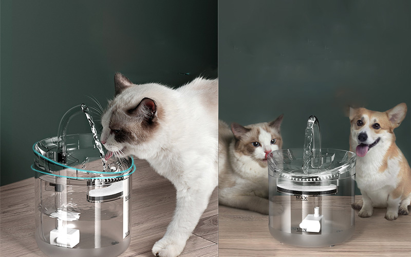 Smart Automatic Pet Water Fountain with Intelligent Sensor and Silent Pump