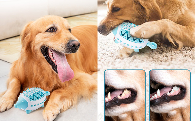 Multifunctional Teething Dog Toy|Food Leakage, Teeth Cleaning, and Grinding