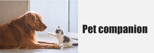 Pet Economy Segmentation Track Research – Pet Companion Care