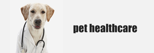 Pet Economy Segmentation Track Research - Pet Healthcare